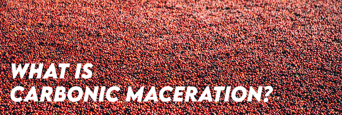 What is Carbonic Maceration?